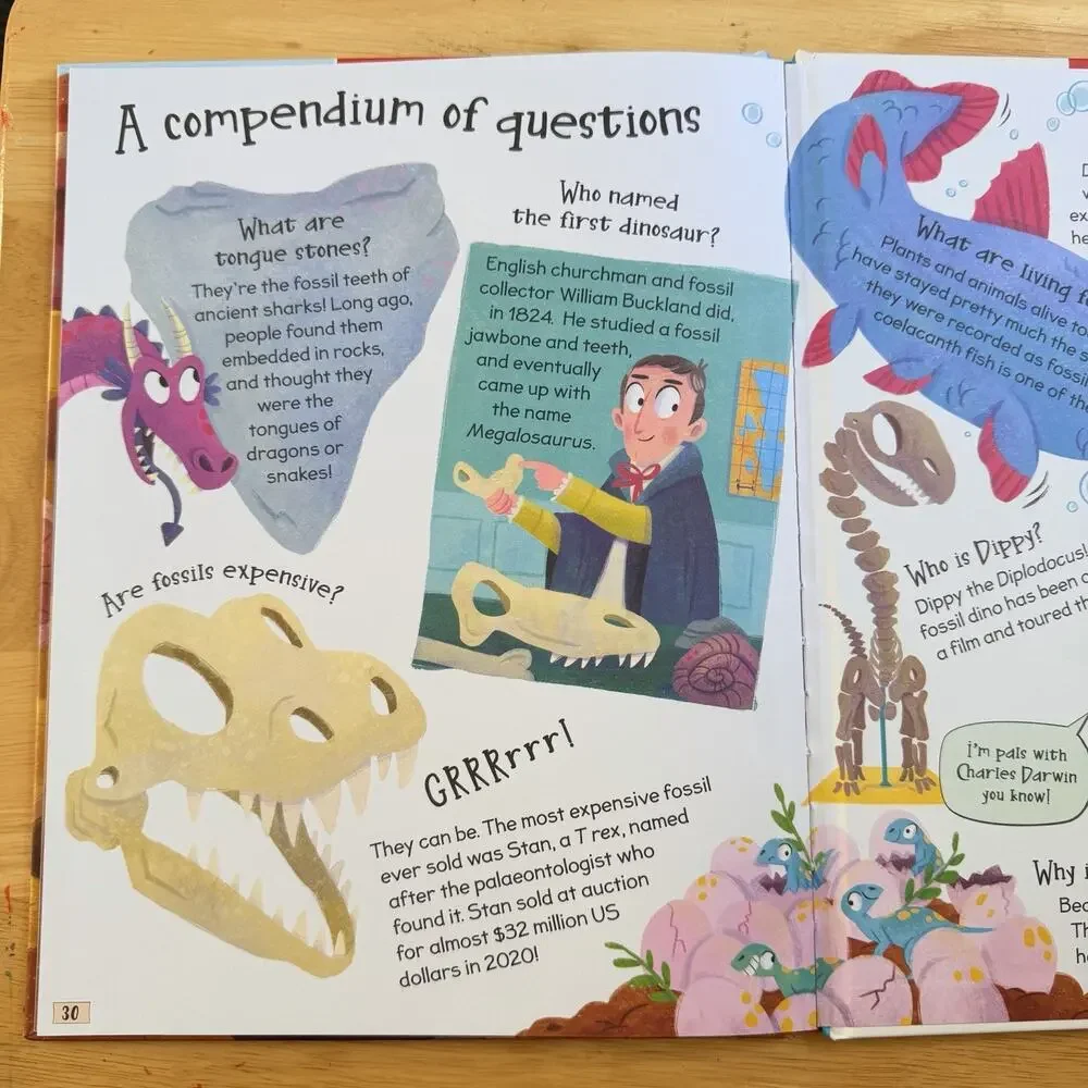 Curious Questions and Answers About Fossils by Phillip Steele Hardcover Book New